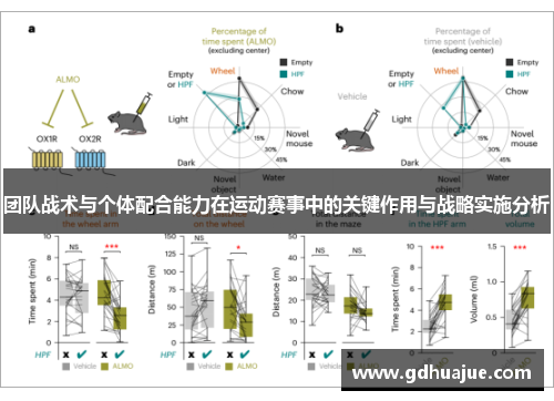 团队战术与个体配合能力在运动赛事中的关键作用与战略实施分析
