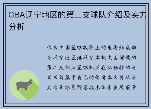 CBA辽宁地区的第二支球队介绍及实力分析