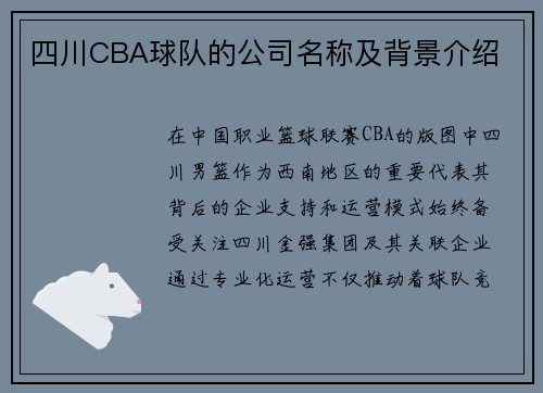 四川CBA球队的公司名称及背景介绍