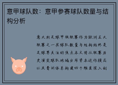 意甲球队数：意甲参赛球队数量与结构分析